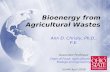 Bioenergy from Agricultural Wastes
