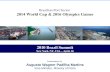 Brazilian Port Sector  2014 World Cup & 2016 Olympics Games