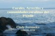 Corales, Arrecifes y comunidades coralinas del PNMB Cindy Fernandez CIMAR, UCR
