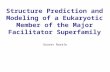 Structure Prediction and Modeling of a Eukaryotic Member of the Major Facilitator Superfamily