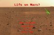 Life on Mars?