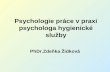 Psychologie práce v praxi psychologa hygienické služby