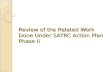 Review of the Related Work Done Under SATRC Action Plan Phase II