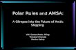 Polar Rules  and  AMSA : A Glimpse into the Future of Arctic Shipping