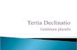 Tertia Declinatio