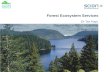Forest Ecosystem Services