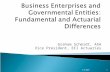Business Enterprises and Governmental Entities: Fundamental and Actuarial Differences