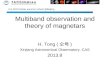 Multiband observation and theory of magnetars
