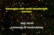 Synergies with multi-wavelength surveys