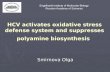 HCV activates oxidative stress defense system and suppresses polyamine biosynthesis