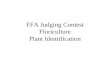 FFA Judging Contest Floriculture Plant Identification