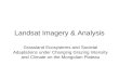 Landsat Imagery & Analysis
