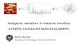 Antigenic variation in malaria involves a highly structured switching pattern