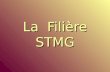 La  Filière STMG