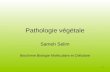 Pathologie végétale