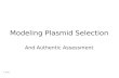 Modeling Plasmid Selection