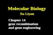 Molecular Biology Xu Liyan