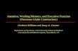 Attention, Working Memory, and Executive Function [Processes Under Construction]