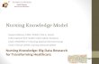 Nursing Knowledge Model