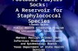 Football Players’ Socks: A Reservoir for Staphylococcal Species