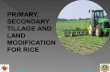 PRIMARY, SECONDARY TILLAGE AND LAND MODIFICATION FOR RICE