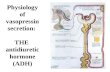 Physiology of vasopressin secretion:  THE  antidiuretic hormone (ADH)