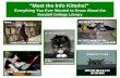 “Meet the Info Kittehs!”  Everything You Ever Wanted to Know About the Kendall College Library