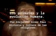 Los primates y la evolución humana.