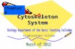 Cytoskeleton System