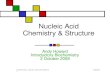 Nucleic Acid Chemistry & Structure