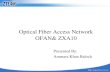 Optical Fiber Access Network OFAN& ZXA10