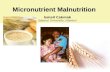 Micronutrient Malnutrition