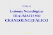 Lesiones Neurológicas TRAUMATISMO  CRANEOENCEFÁLICO