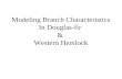 Modeling Branch Characteristics In Douglas-fir  &  Western Hemlock