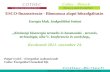 ESCO-finanszírozás - Biomassza alapú hőszolgáltatás Energia klub, Szakpolitikai Intézet