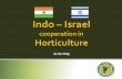 Indo – Israel  cooperation in  Horticulture