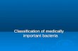 Classification of medically important bacteria