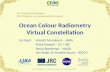 Ocean Colour Radiometry Virtual Constellation