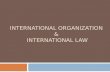 International Organization  &  International Law