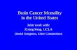 Brain Cancer Mortality in the United States