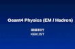 Geant4 Physics (EM / Hadron)