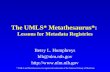 The UMLS* Metathesaurus*:  Lessons for Metadata Registries