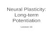 Neural Plasticity: Long-term Potentiation