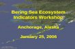 Bering Sea Ecosystem Indicators Workshop Anchorage, Alaska January 25, 2006