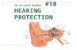 TOP 20 SAFETY HAZARDS  #18 HEARING PROTECTION