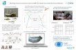 Working toward ecosystem-based LTMPS for North Sea mixed  demersal  fisheries
