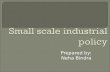 Small scale industrial policy