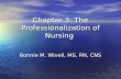 Chapter 3: The Professionalization of Nursing