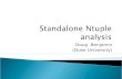 Standalone  Ntuple  analysis