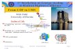 1 st  Workshop on Energy Scaling in Hadron-Hadron Collisions